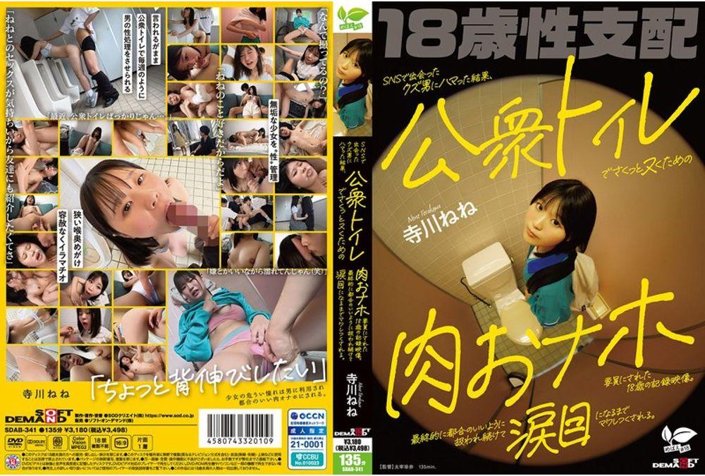 SDAB-341 This Is A Video Recording Of An 18-year-old Girl Who Falls For A Scumbag She Meets On Social Media And Ends Up Being Used As A Sex Toy For A Quick Wank In A Public Toilet. In The End, She Is Treated As She Pleases And Is Fucked Until She Is Brought To Tears. Screenshot 0