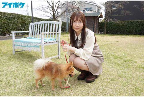IPIT-031 Dog Girl Who Will Surely Heal You, Ashitaba Yu AV Debut Screenshot