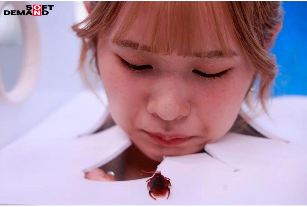 SDMM-228 If You Can Keep 'FREEZE'ing, You Win A Prize! No Matter What Kind Of Interference You Face, You Absolutely Cannot Move! Open To Innocent Female College Students Only! A Pleasure-endurance Challenge Where You Must Endure Without Reacting! Screenshot 7