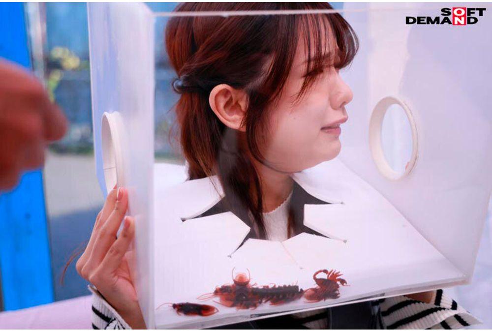 SDMM-228 If You Can Keep 'FREEZE'ing, You Win A Prize! No Matter What Kind Of Interference You Face, You Absolutely Cannot Move! Open To Innocent Female College Students Only! A Pleasure-endurance Challenge Where You Must Endure Without Reacting! Screenshot 9