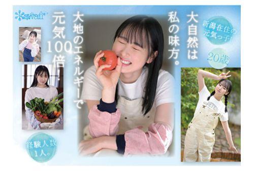 CAWD-699 Newcomer! Kawaii Debut Farm Girl Shizuku Kawakami A Lively Farming Elite Who Uses The Power Of Nature To Her Advantage Makes Her AV Debut Screenshot