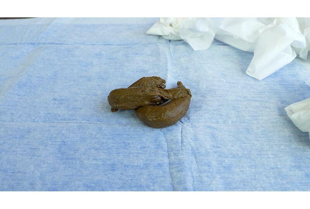KBMS-210 The Feast Of Excretion - Hana Miura Screenshot 7