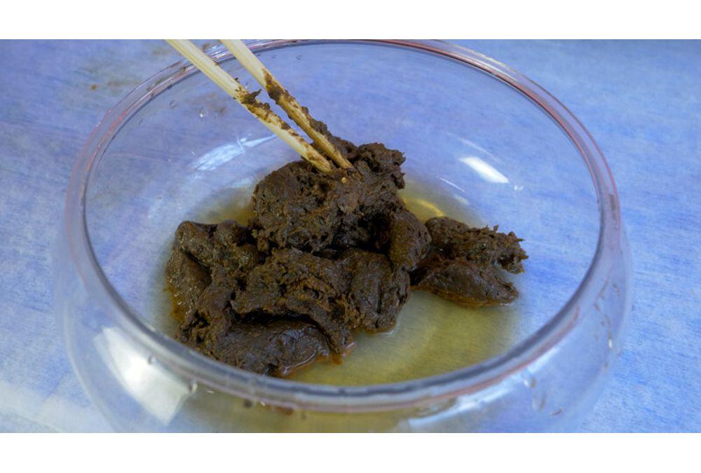 KBMS-199 Poop Mountain Screenshot 9