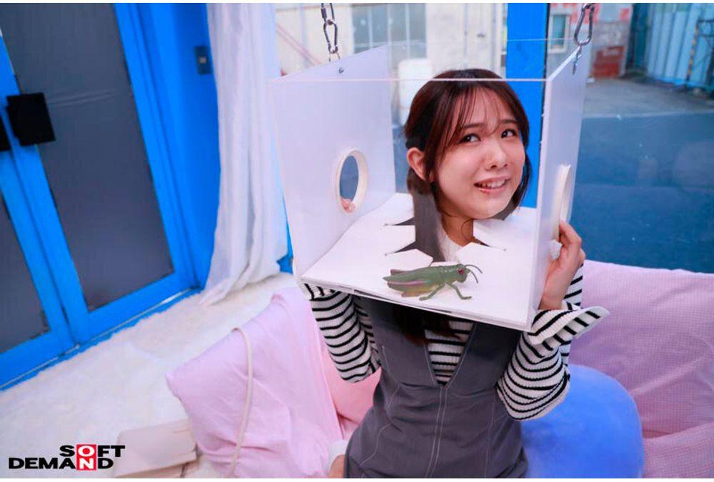 SDMM-228 If You Can Keep 'FREEZE'ing, You Win A Prize! No Matter What Kind Of Interference You Face, You Absolutely Cannot Move! Open To Innocent Female College Students Only! A Pleasure-endurance Challenge Where You Must Endure Without Reacting! Screenshot 16