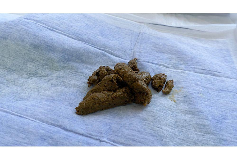 KBMS-213 Noriko's Poop - Noriko Ito Screenshot 10